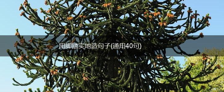 用脚踏实地造句子(通用40句),第1张