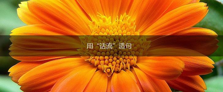 用“话流”造句,第1张