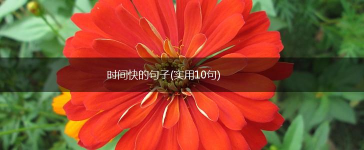 时间快的句子(实用10句),第1张