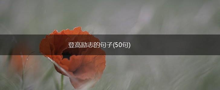 登高励志的句子(50句),第1张