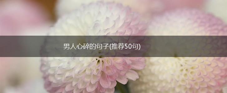 男人心碎的句子(推荐50句),第1张