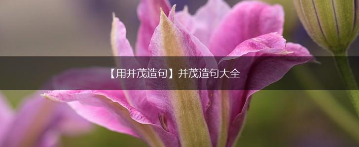 【用并茂造句】并茂造句大全,第1张 【用并茂造句】并茂造句大全,第1张