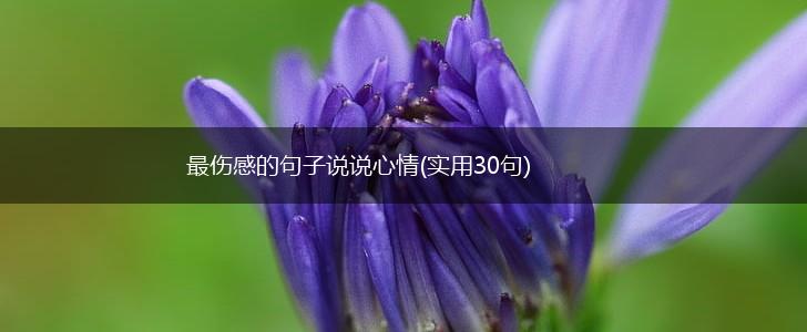 最伤感的句子说说心情(实用30句),第1张