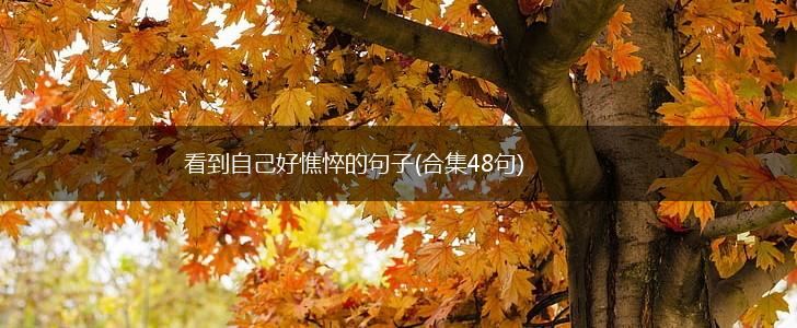 看到自己好憔悴的句子(合集48句),第1张
