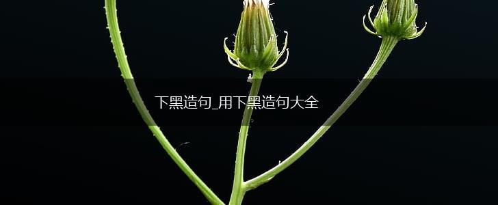 下黑造句_用下黑造句大全,第1张 下黑造句_用下黑造句大全,第1张