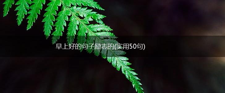 早上好的句子励志的(实用50句),第1张