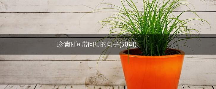 珍惜时间带问号的句子(50句),第1张