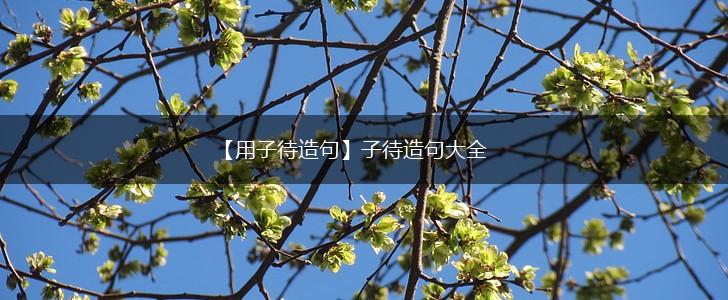 【用子待造句】子待造句大全,第1张 【用子待造句】子待造句大全,第1张