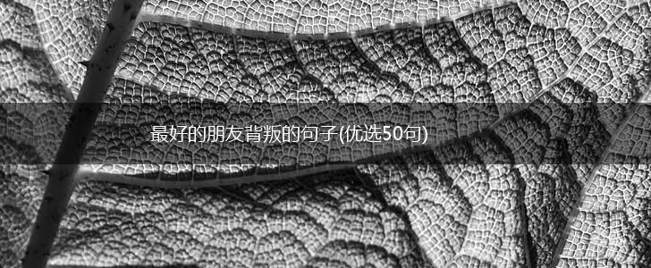 最好的朋友背叛的句子(优选50句),第1张