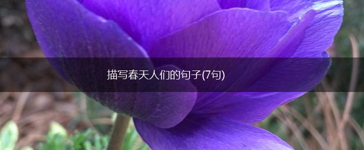 描写春天人们的句子(7句),第1张