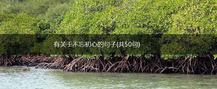 有关于不忘初心的句子(共50句),第1张