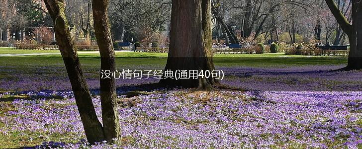 没心情句子经典(通用40句),第1张