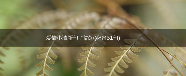 爱情小清新句子简短(必备31句),第1张