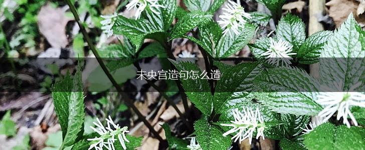 未央宫造句怎么造,第1张
