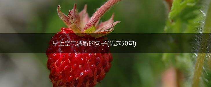 早上空气清新的句子(优选50句),第1张