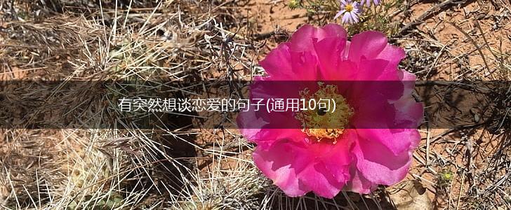有突然想谈恋爱的句子(通用10句),第1张