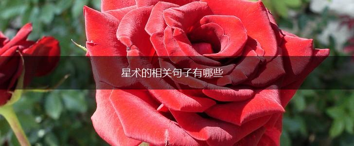 星术的相关句子有哪些,第1张 星术的相关句子有哪些,第1张