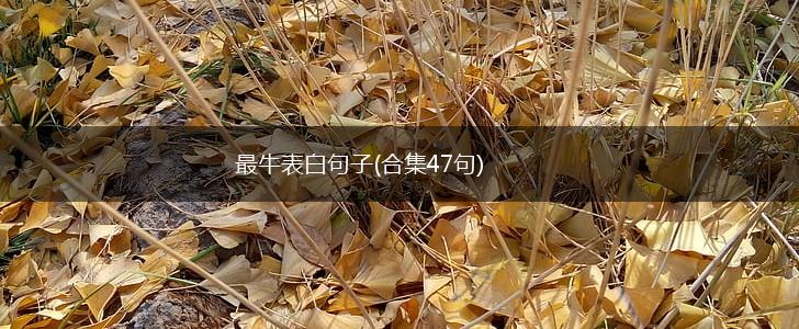最牛表白句子(合集47句),第1张