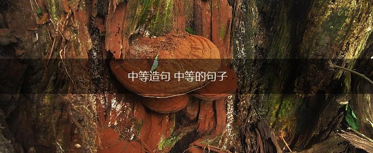 中等造句 中等的句子,第1张 中等造句 中等的句子,第1张
