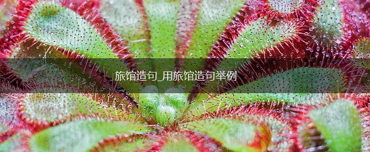 旅馆造句_用旅馆造句举例,第1张 旅馆造句_用旅馆造句举例,第1张