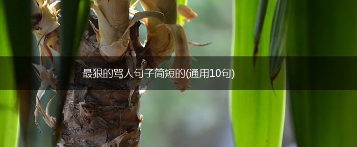 最狠的骂人句子简短的(通用10句),第1张
