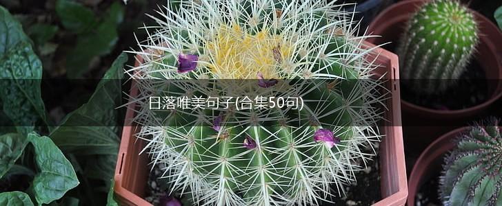 日落唯美句子(合集50句),第1张