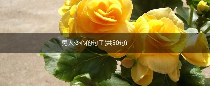 男人变心的句子(共50句),第1张