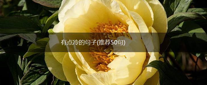 有点冷的句子(推荐50句),第1张