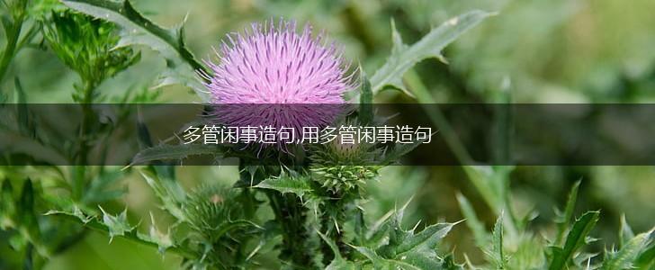 多管闲事造句,用多管闲事造句,第1张