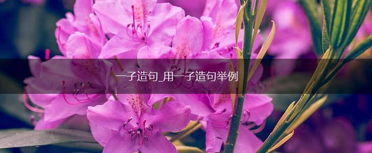 一子造句_用一子造句举例,第1张 一子造句_用一子造句举例,第1张