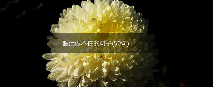 眼泪忍不住的句子(50句),第1张
