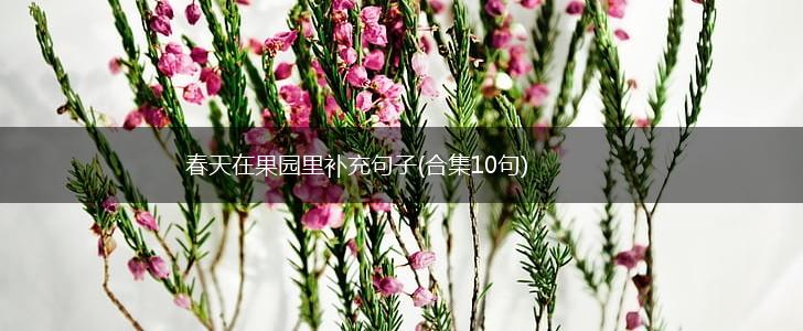 春天在果园里补充句子(合集10句),第1张