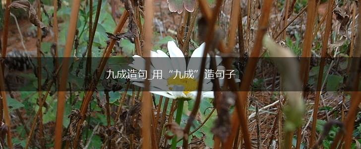 九成造句_用“九成”造句子,第1张