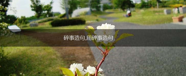 碎事造句,用碎事造句,第1张 碎事造句,用碎事造句,第1张