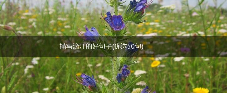 描写漓江的好句子(优选50句),第1张