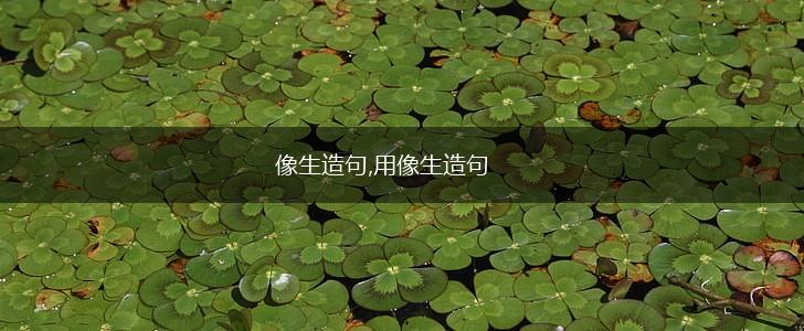 像生造句,用像生造句,第1张 像生造句,用像生造句,第1张