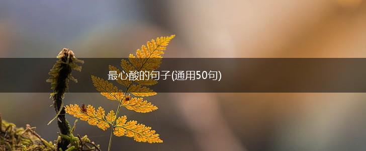 最心酸的句子(通用50句),第1张