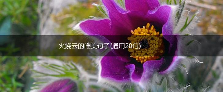 火烧云的唯美句子(通用20句),第1张
