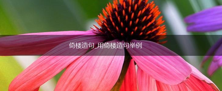 倚楼造句_用倚楼造句举例,第1张