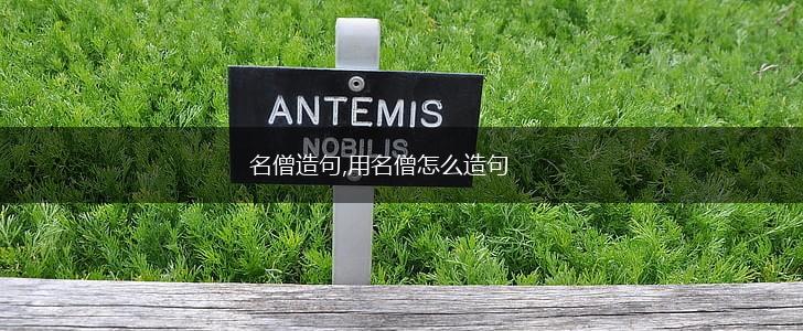 名僧造句,用名僧怎么造句,第1张 名僧造句,用名僧怎么造句,第1张