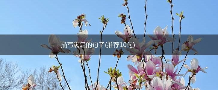 描写满足的句子(推荐10句),第1张