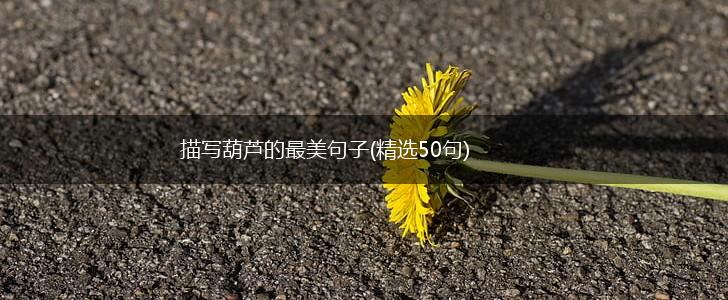 描写葫芦的最美句子(精选50句),第1张