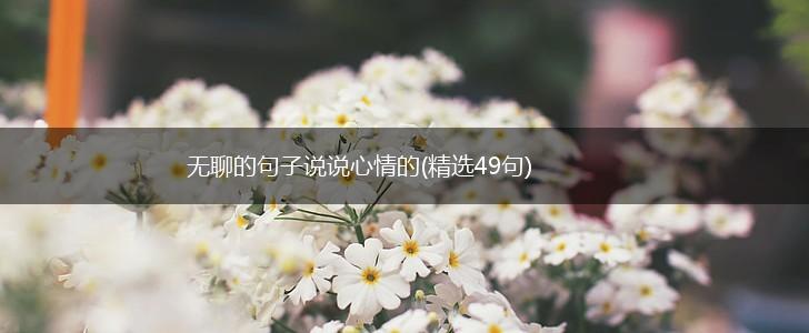 无聊的句子说说心情的(精选49句),第1张