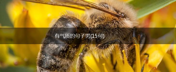 有气质的句子男(15句),第1张