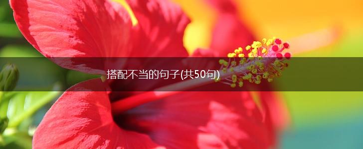 搭配不当的句子(共50句),第1张