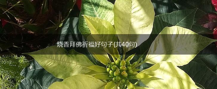烧香拜佛祈福好句子(共40句),第1张