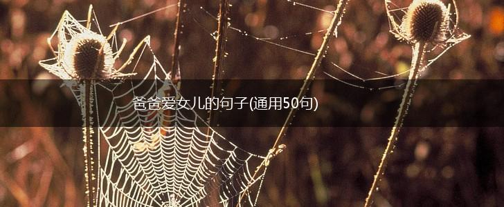 爸爸爱女儿的句子(通用50句),第1张