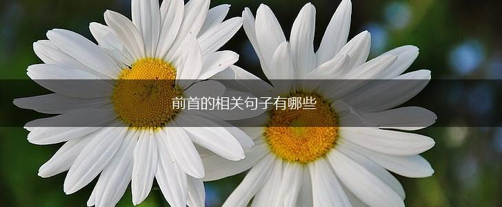 前首的相关句子有哪些,第1张