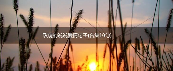 玫瑰的说说爱情句子(合集10句),第1张