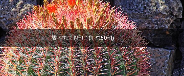 放下执念的句子(汇总50句),第1张